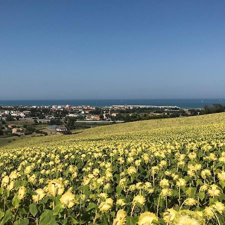 Agricampeggio Abbruzzetti Marina Palmense Dış mekan fotoğraf