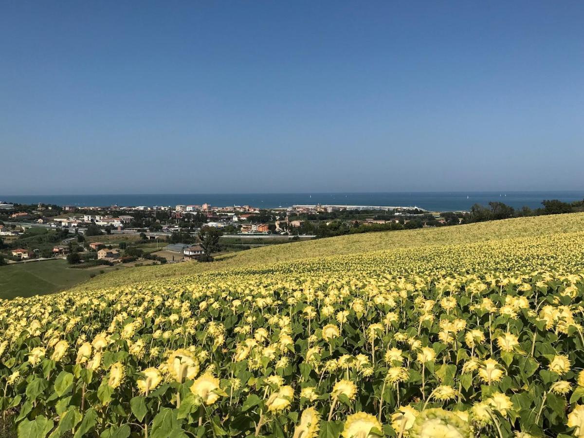 Agricampeggio Abbruzzetti Marina Palmense Dış mekan fotoğraf